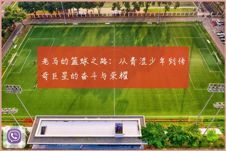 老马的篮球之路：从青涩少年到传奇巨星的奋斗与荣耀