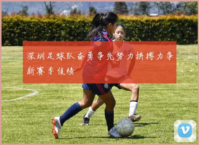 深圳足球队奋勇争先努力拼搏力争新赛季佳绩